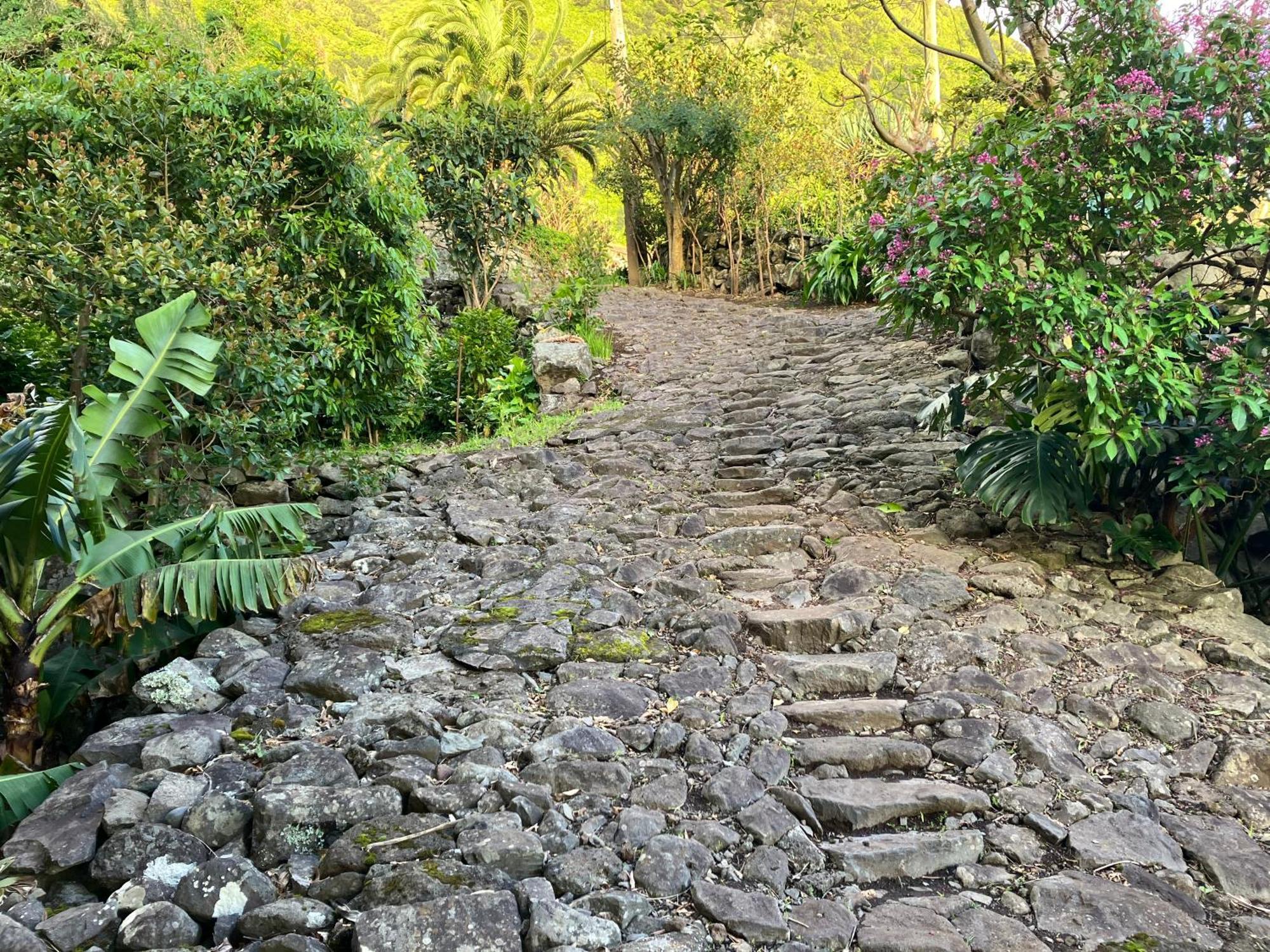Vistalinda Cabins Calheta  Bagian luar foto